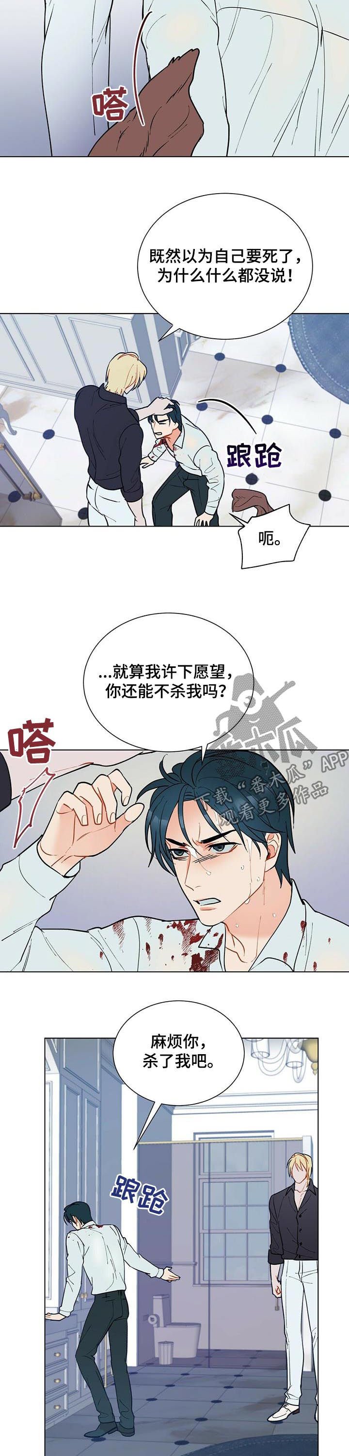 第51章：赶紧许愿