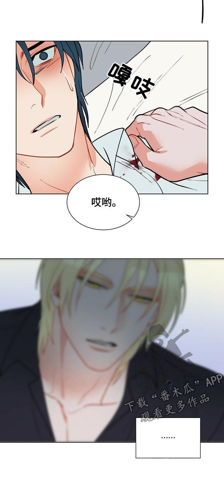 第53章：永远都不会有