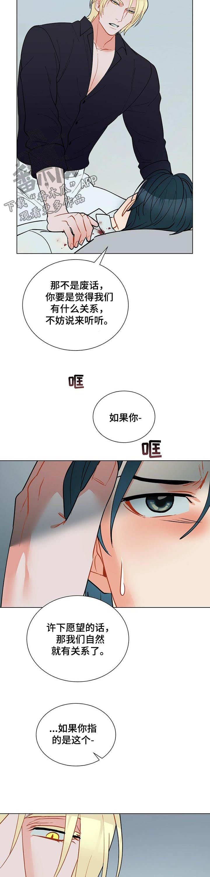 第53章：永远都不会有