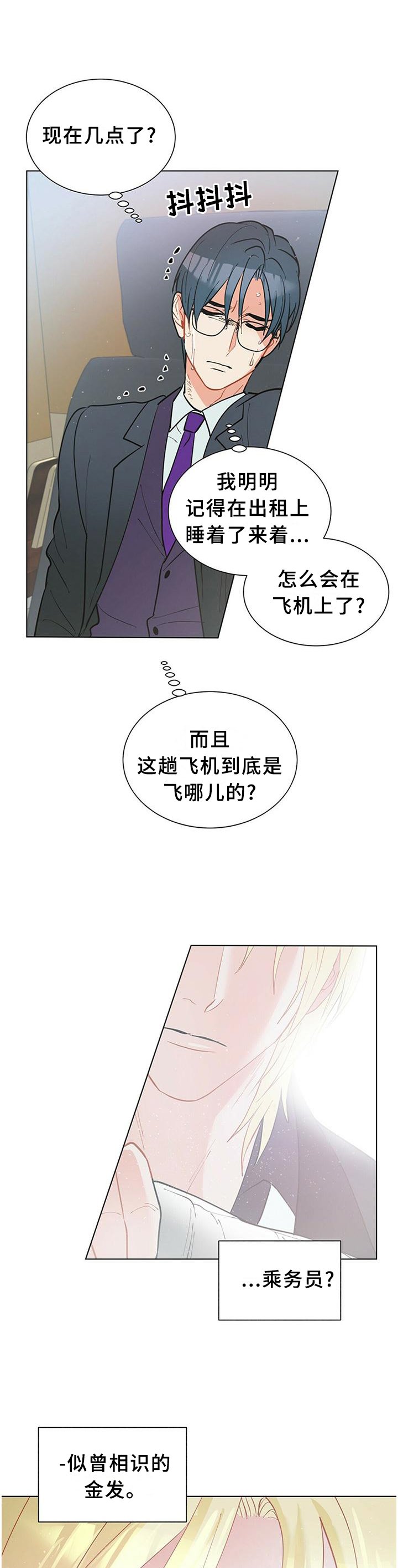 第61章：早该这么做