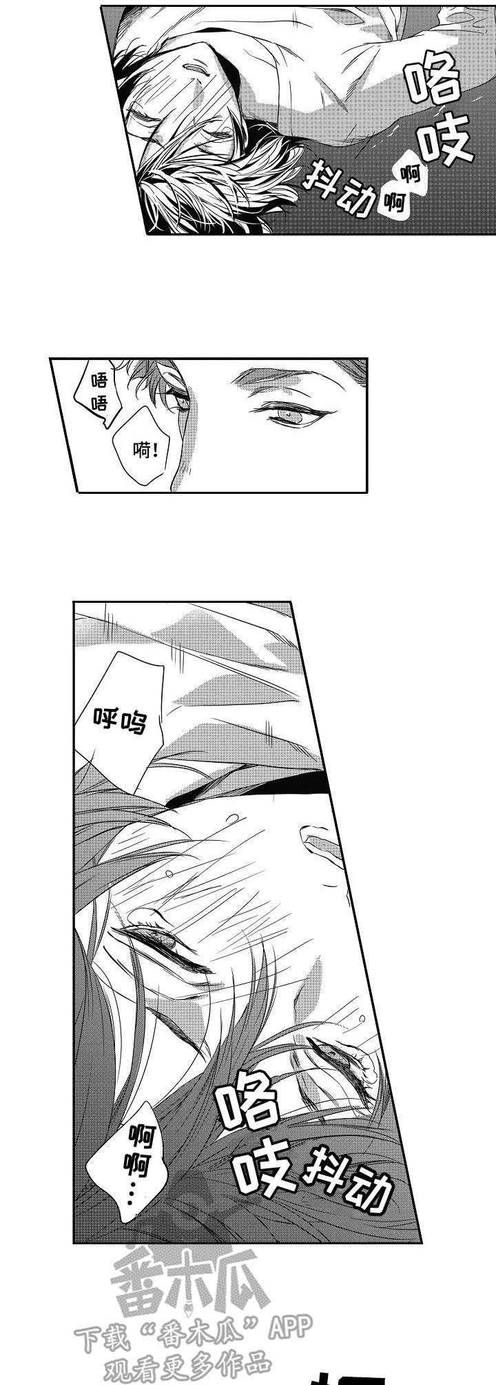 第13章：误解