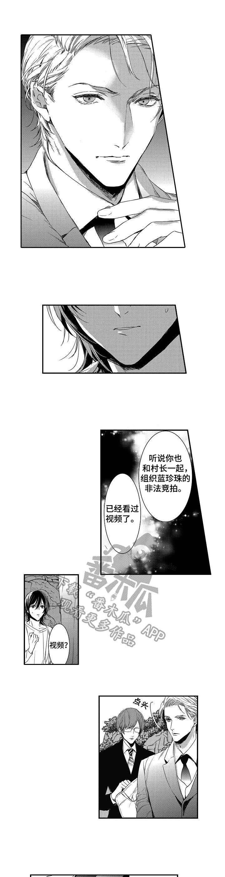 第13章：误解