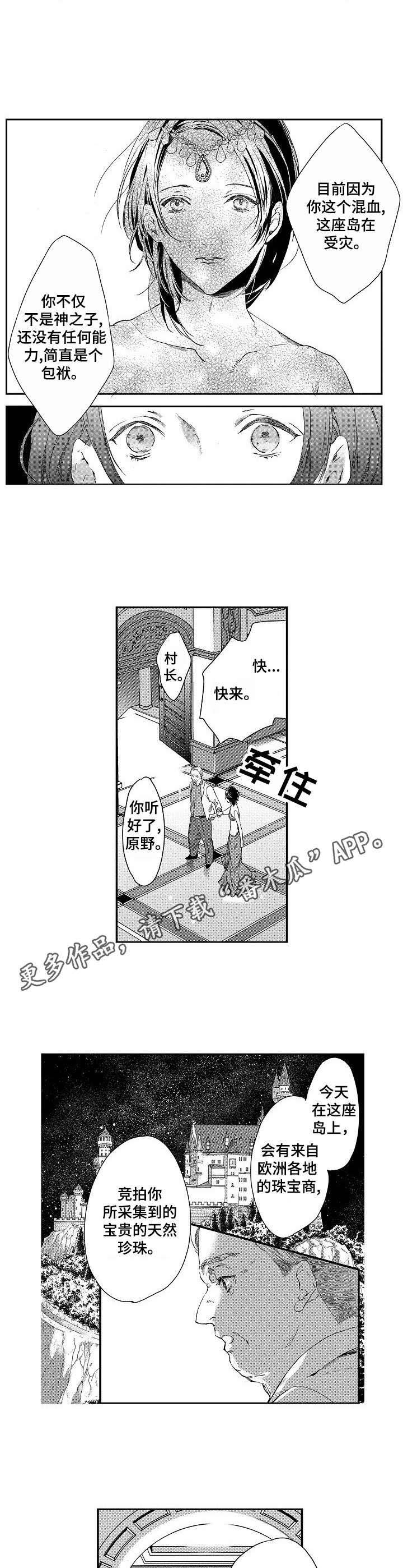 第5章：美貌
