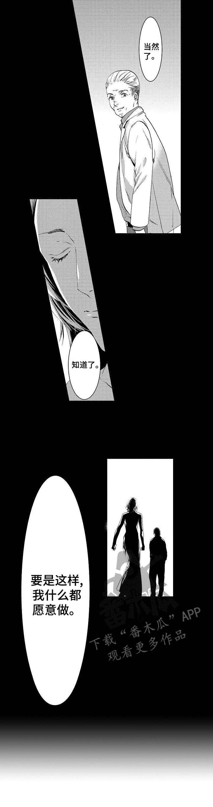 第5章：美貌