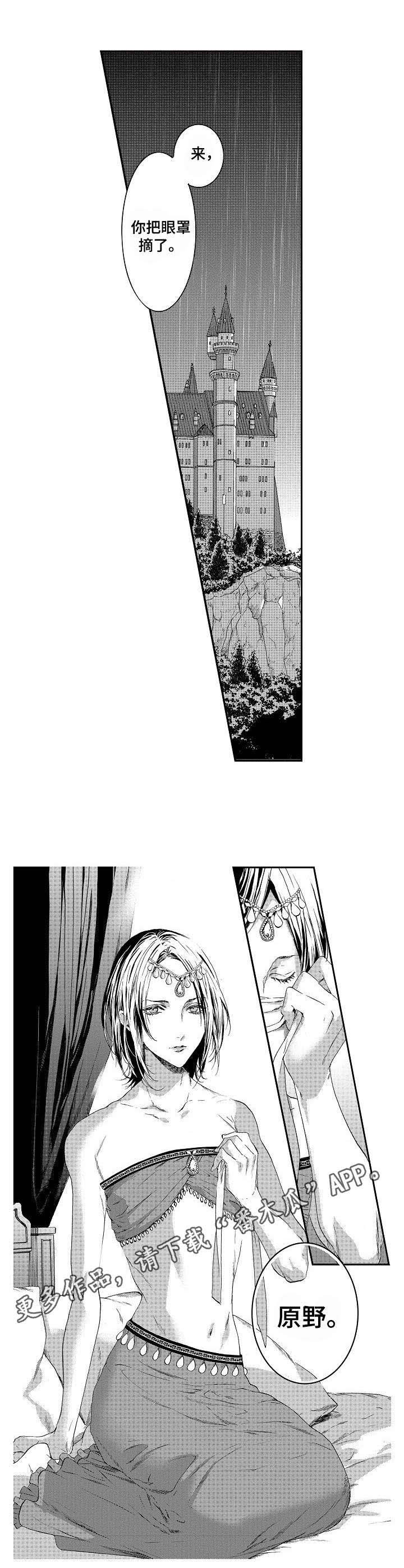 第5章：美貌