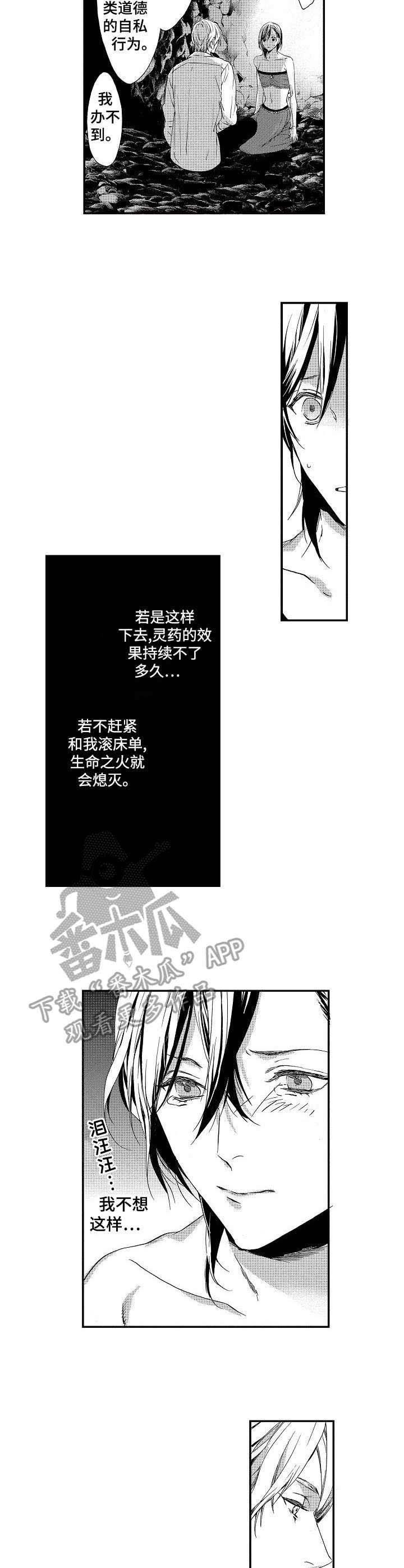 第7章：灵药
