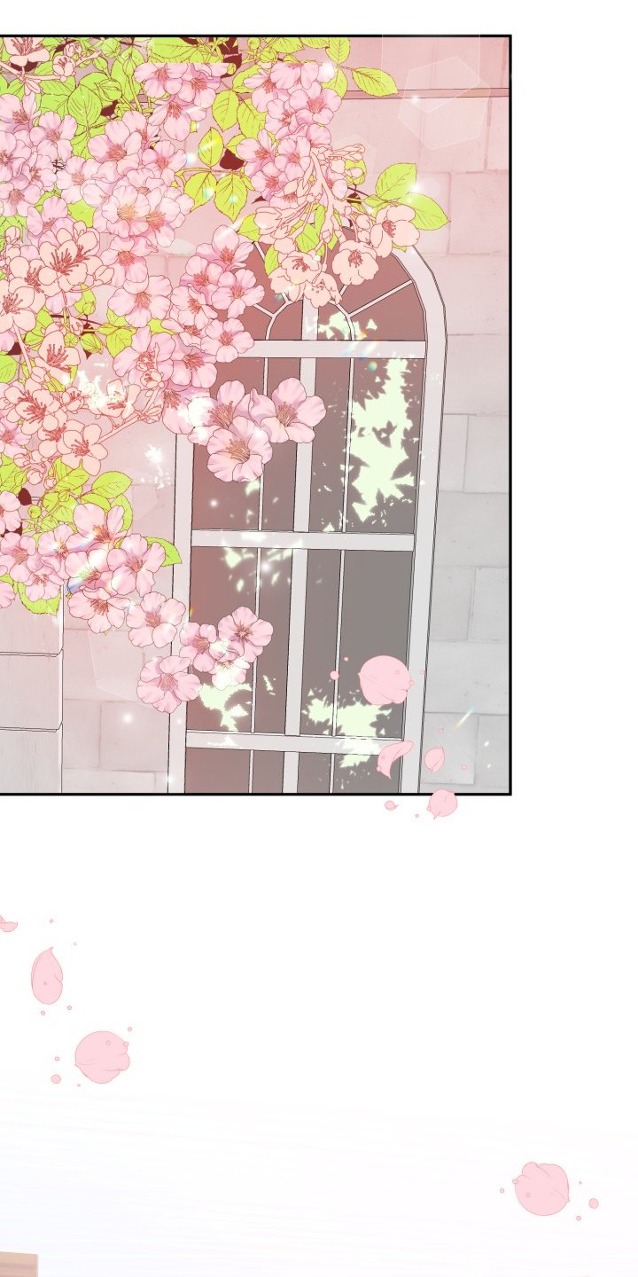 第106章：步入婚礼