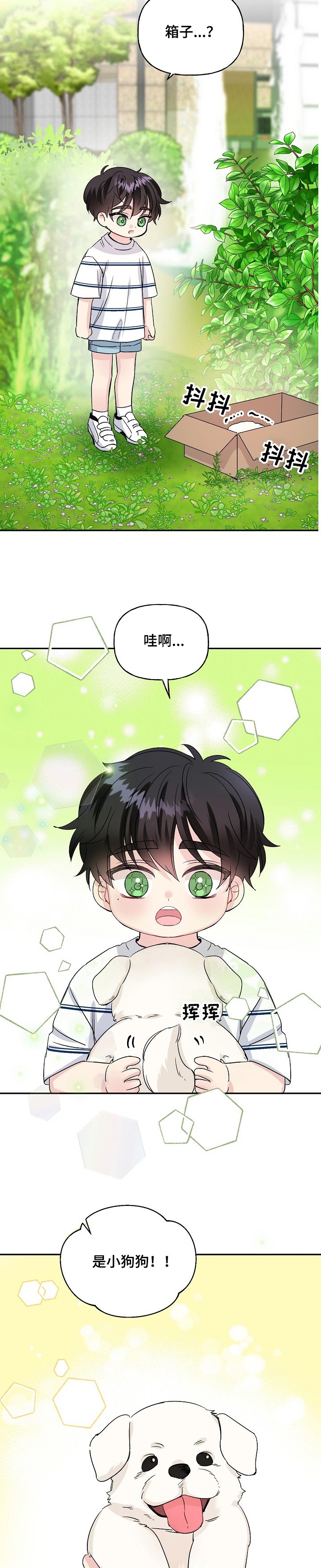 第72章：捡到小狗狗
