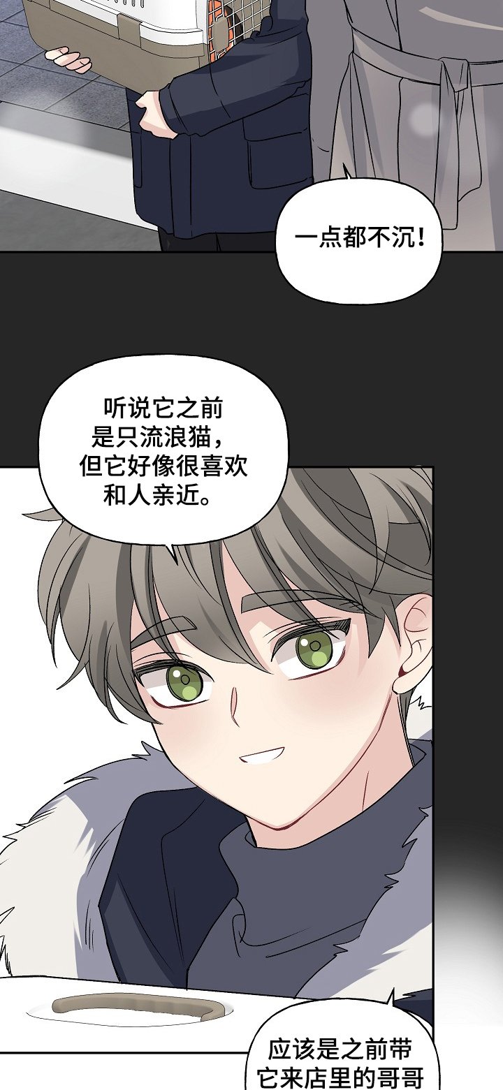 第77章：天定的姻缘