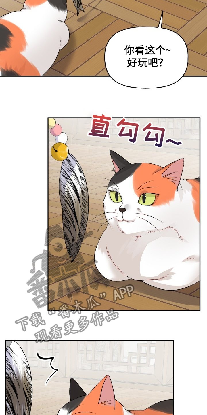 第98章：好像喵喵