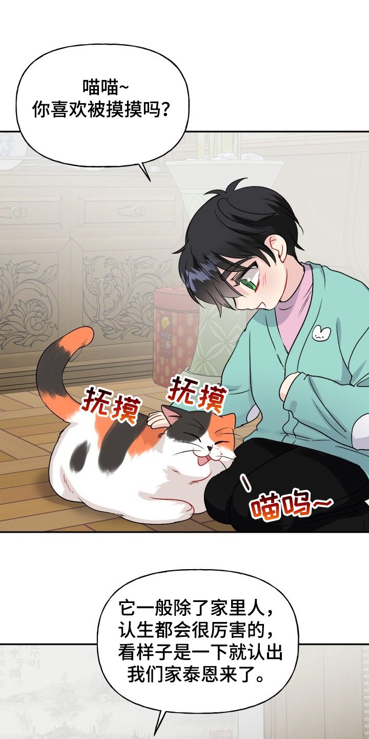 第98章：好像喵喵