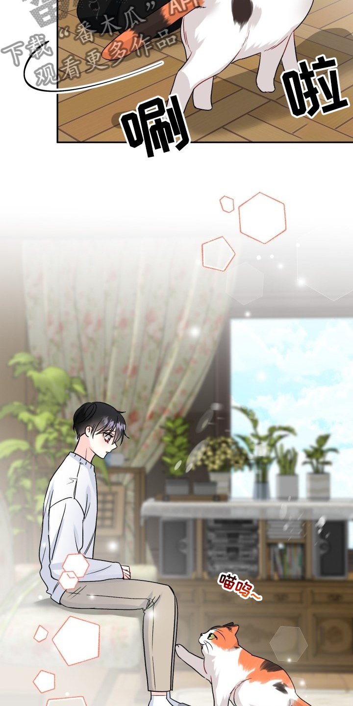 第98章：好像喵喵