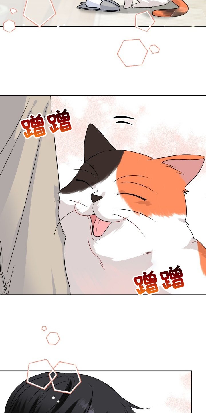 第98章：好像喵喵