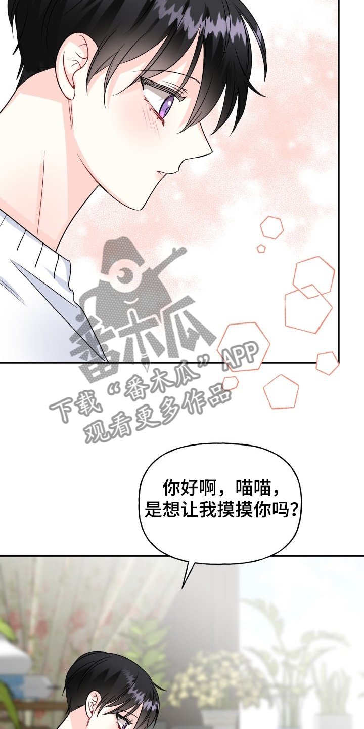 第98章：好像喵喵