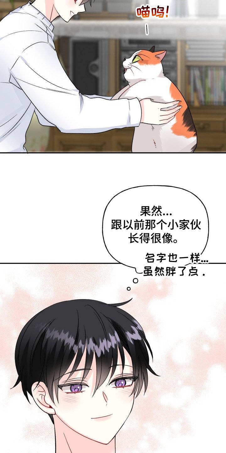 第98章：好像喵喵