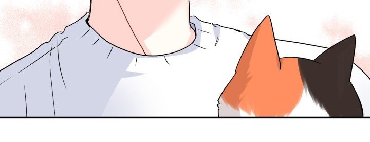 第98章：好像喵喵