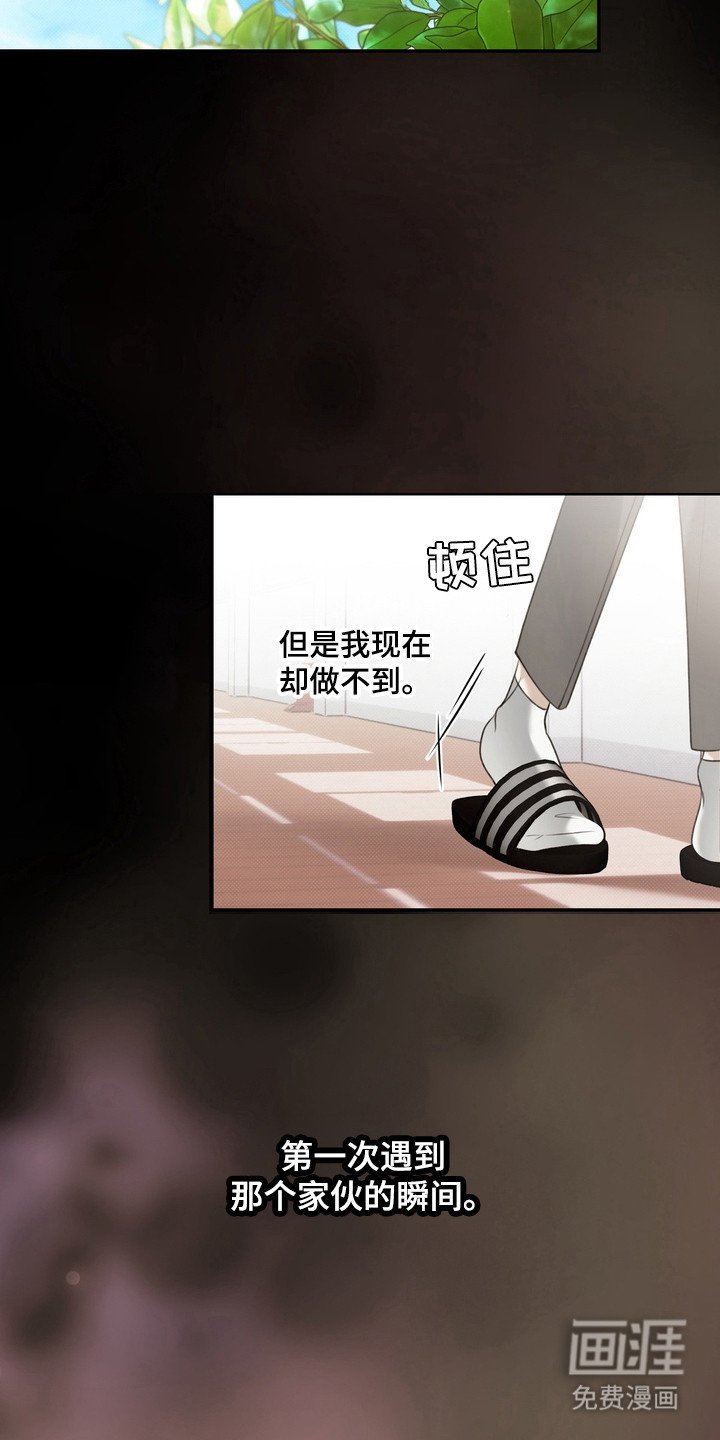 第1章：伤痛