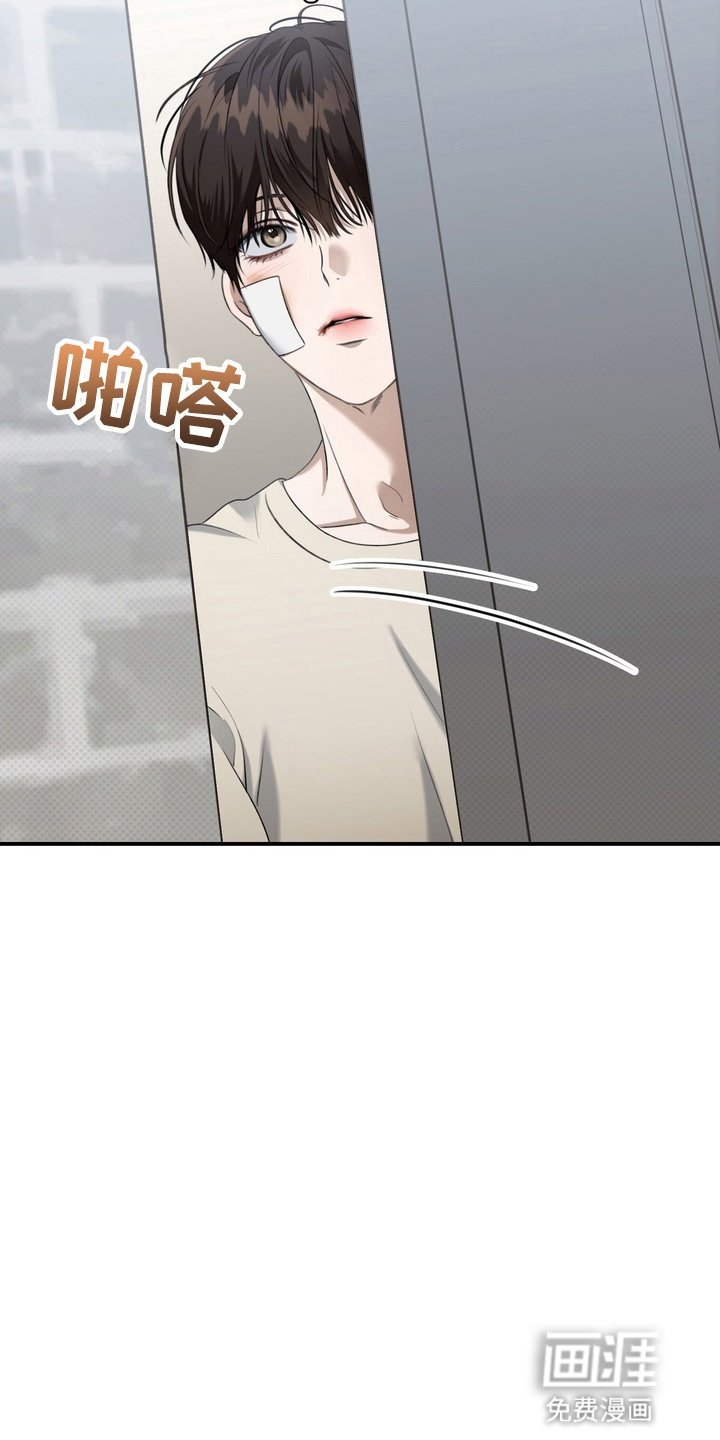 第20章：意想不到的客人