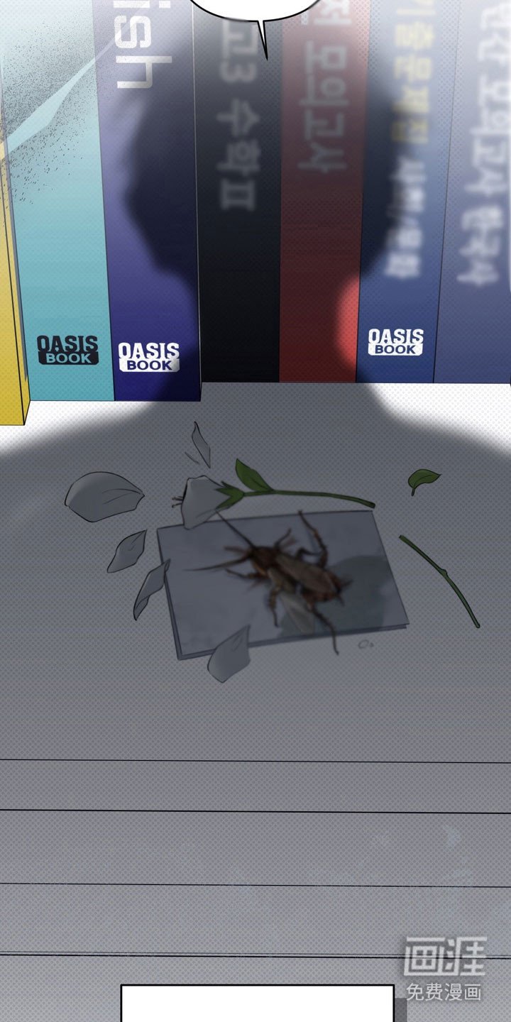 第48章：心生不安