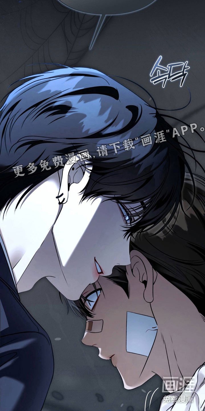 第50章：不断挑衅