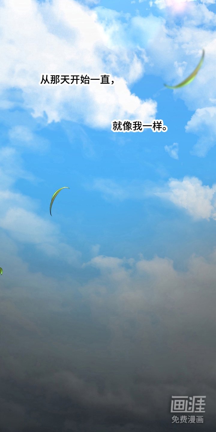 第6章：插手