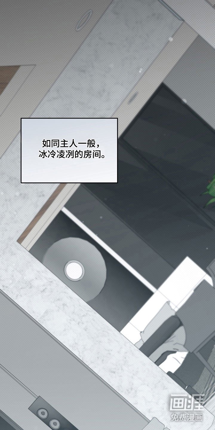 第62章：希望不是