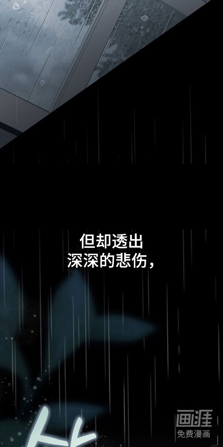 第63章：像在辩解