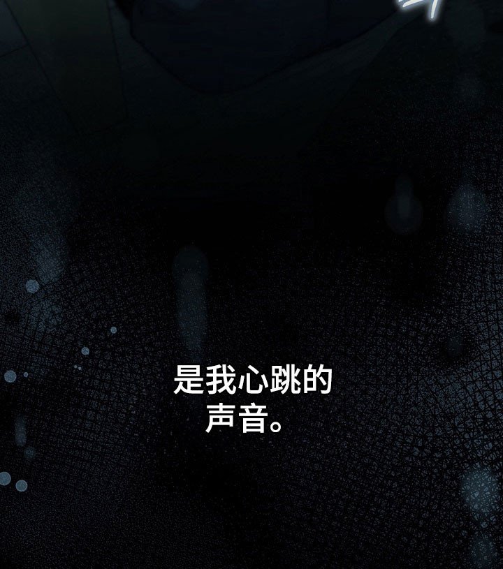 第63章：像在辩解