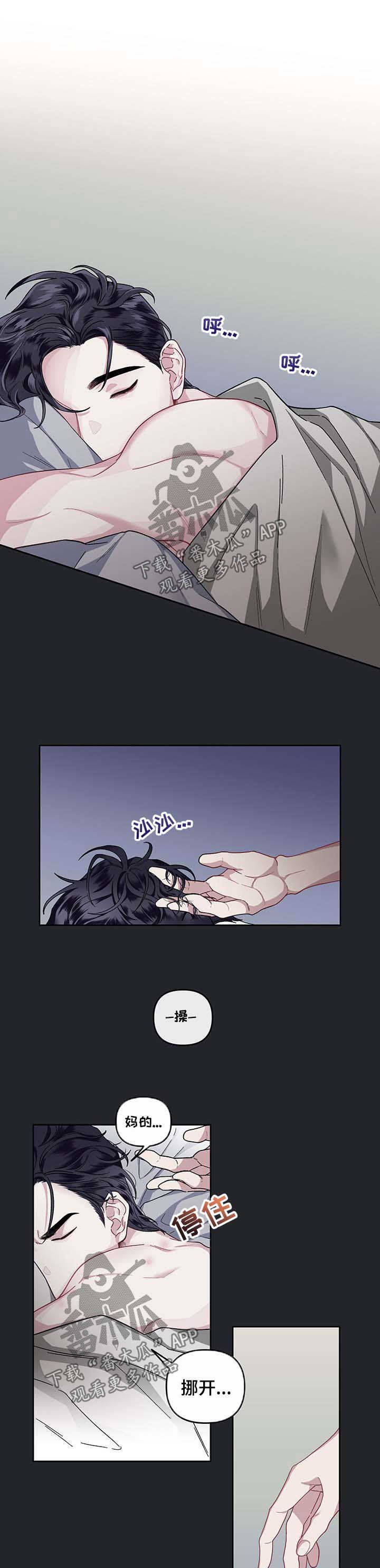 第29章：新的习惯