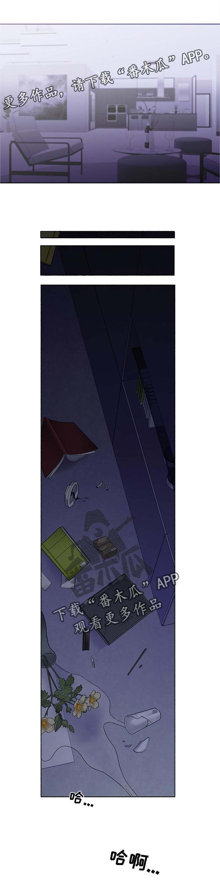 第38章：道歉