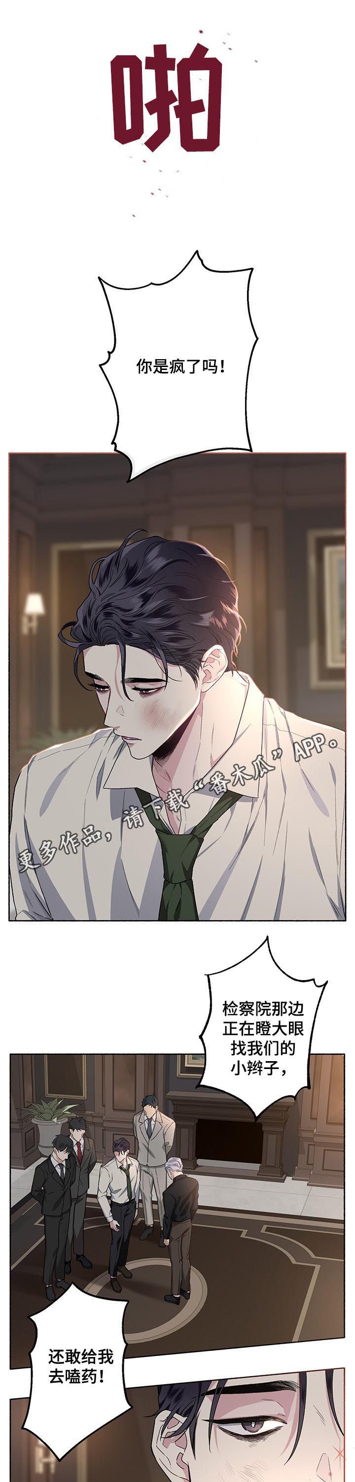 第41章：交往看看