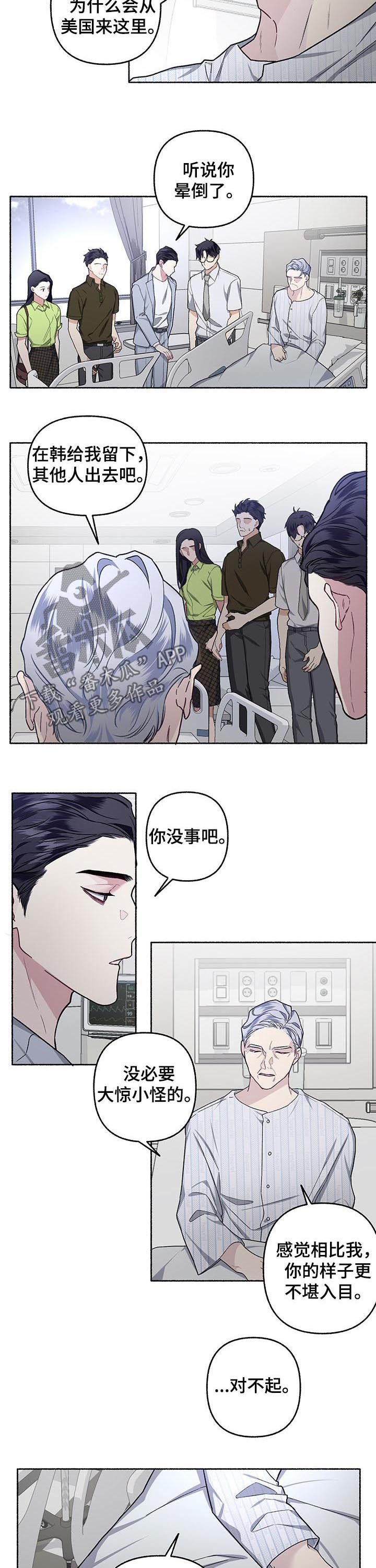 第41章：交往看看