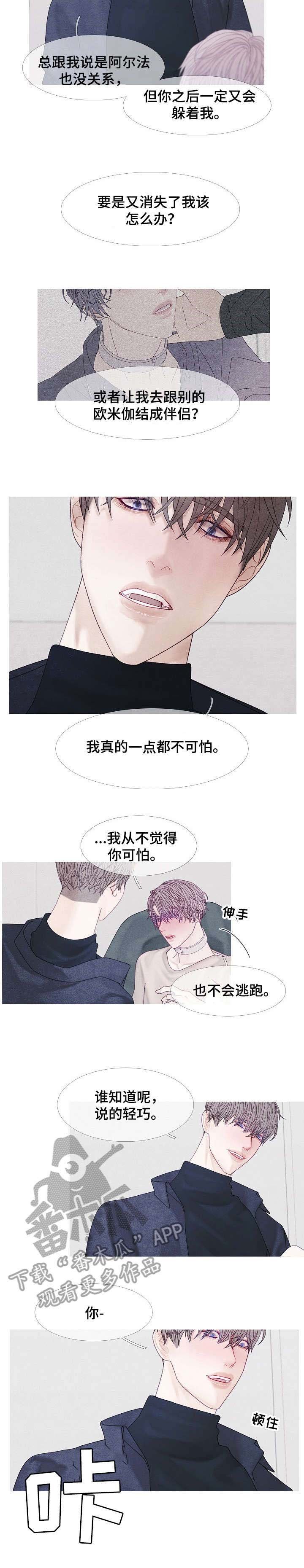 第41章：危险