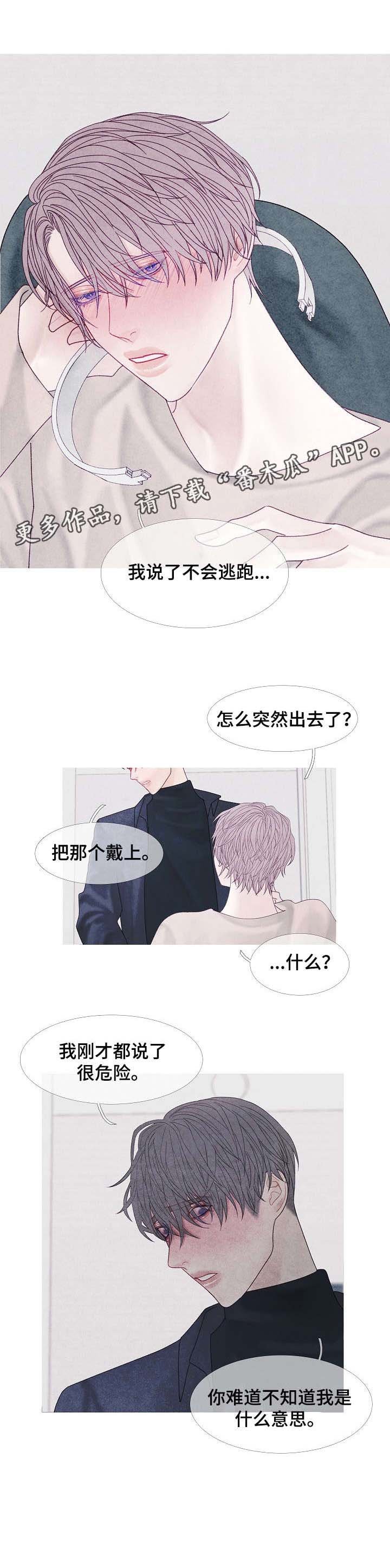 第41章：危险