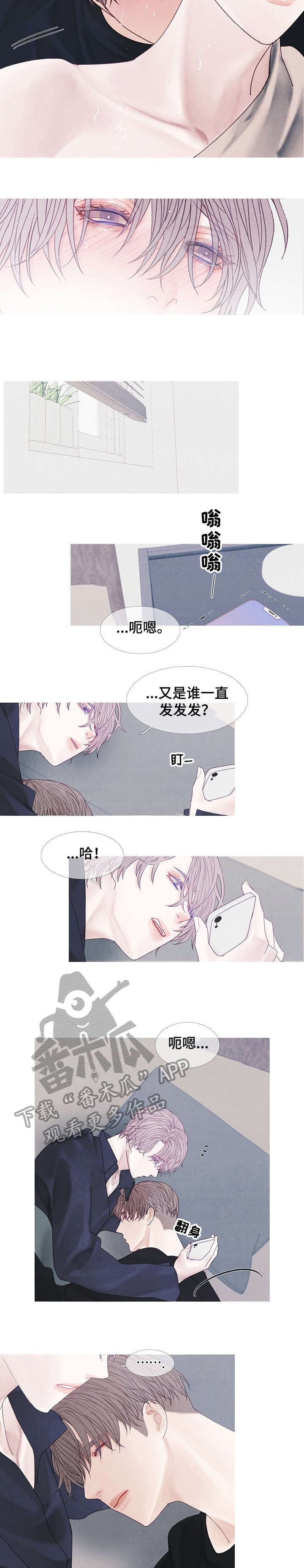 第42章：算了（完结）
