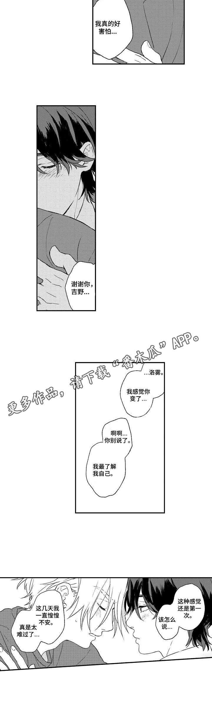 第17章：真心话