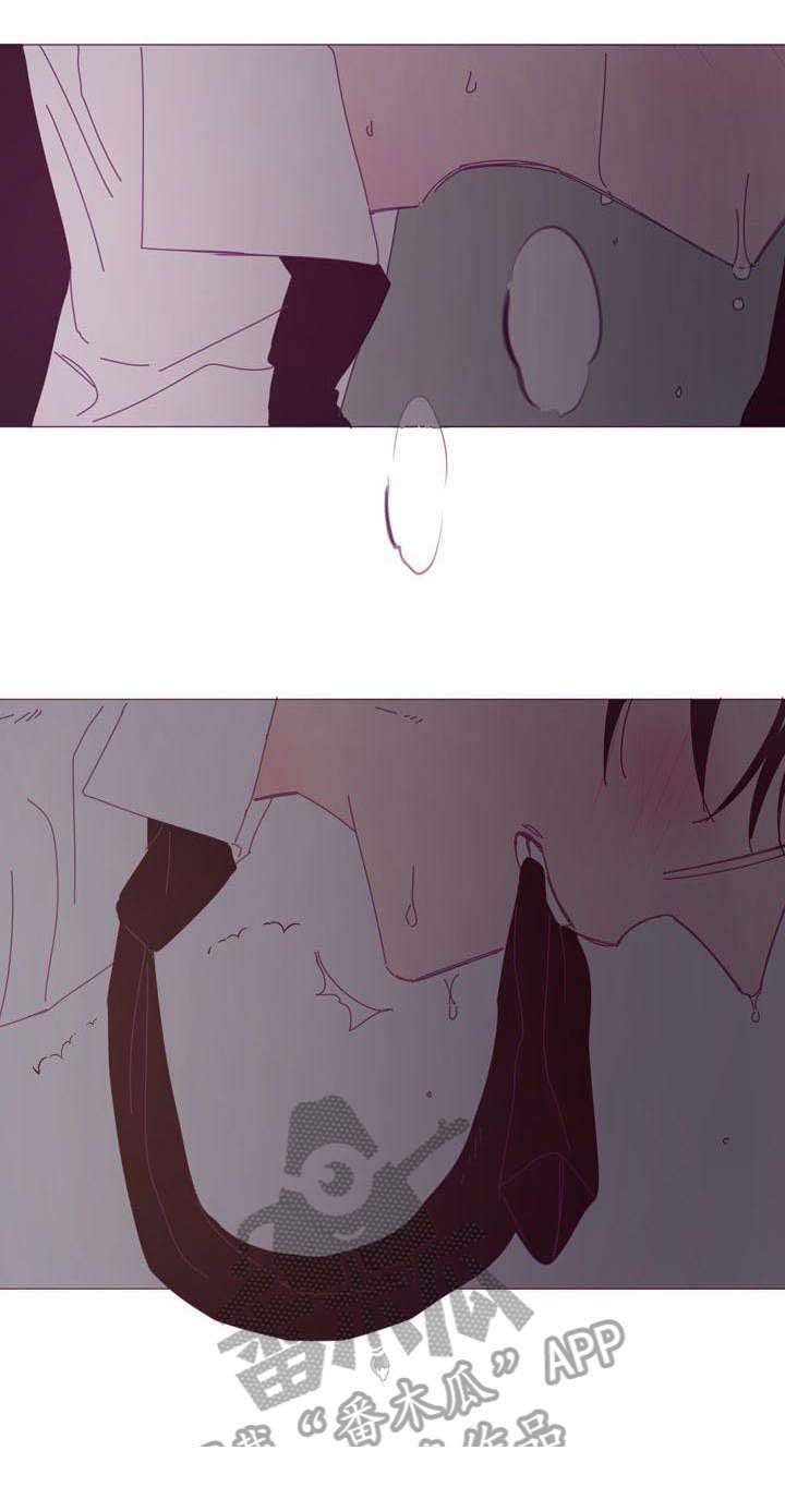 第11章：和好