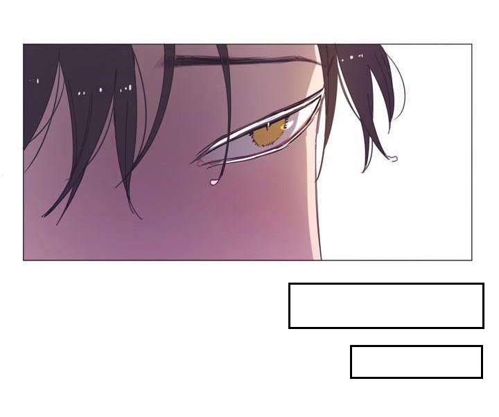 第14章：非常好
