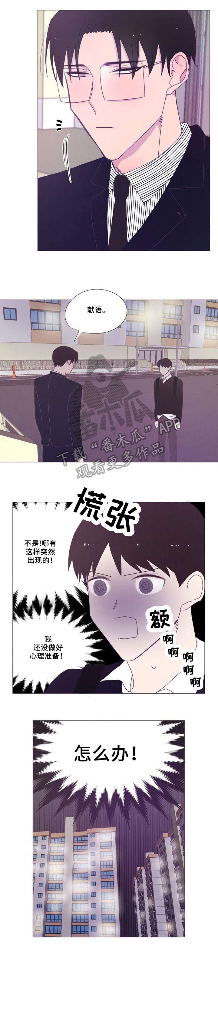 第17章：衣服