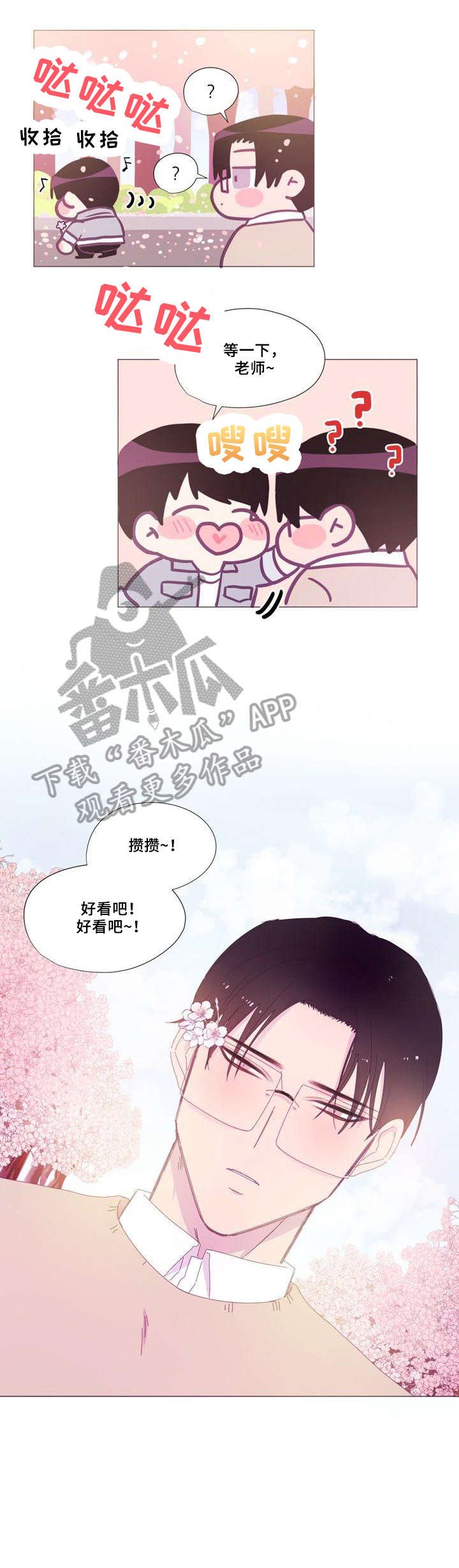 第21章：赏花