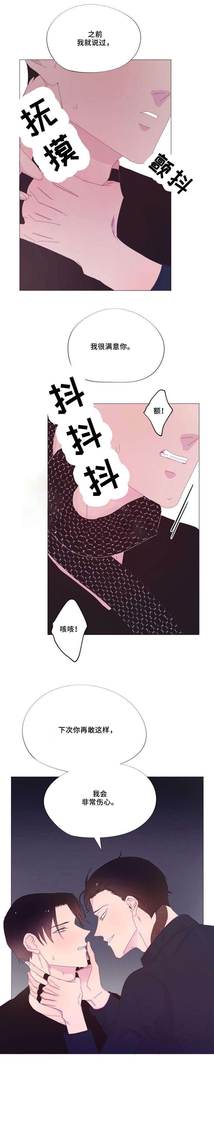 第31章：那种人