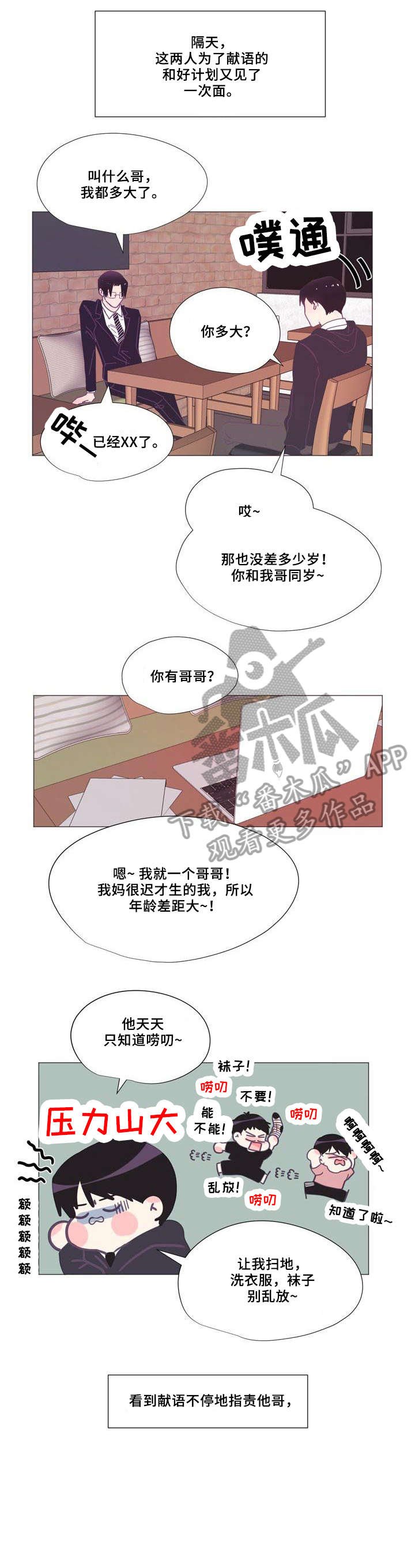 第8章：所以