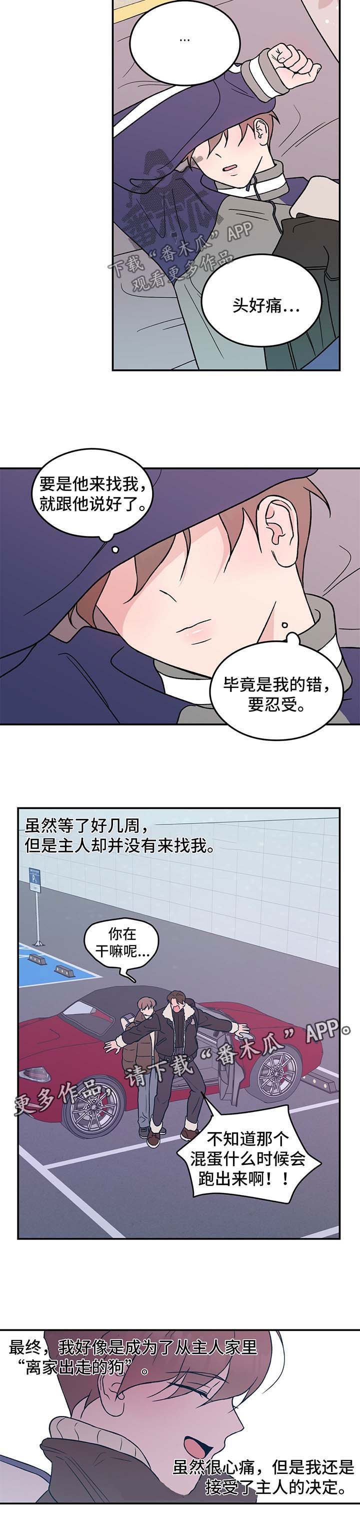 第37章：疑惑