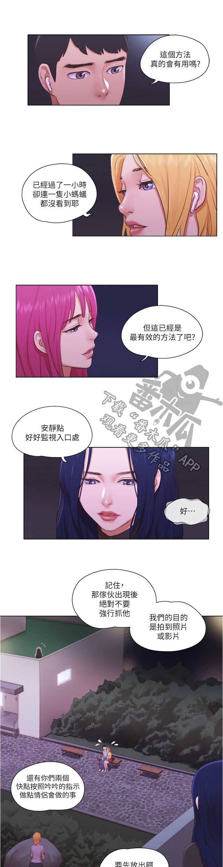 第18章：诱饵