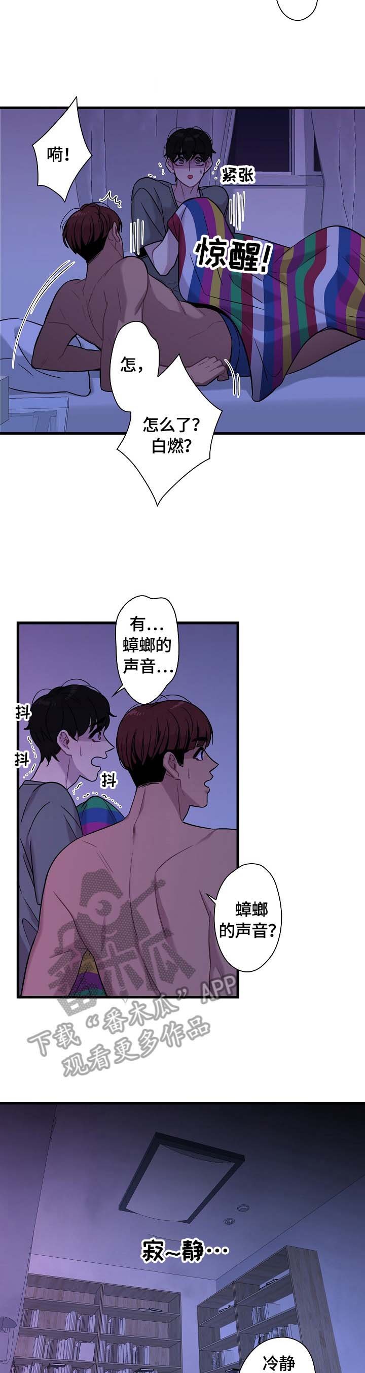 第21章：爱好