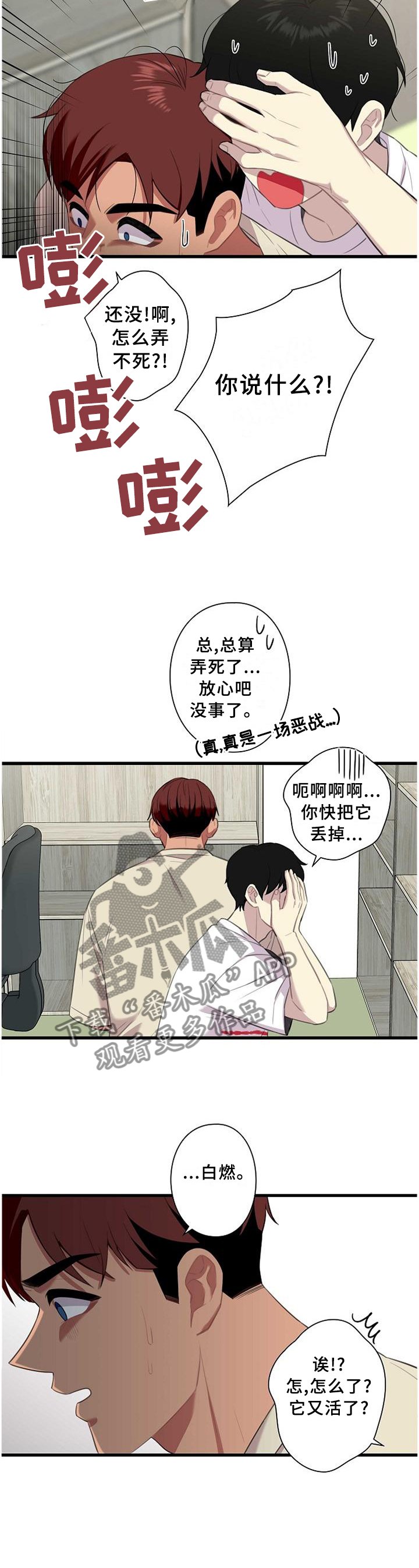 第50章：【完结】搬迁