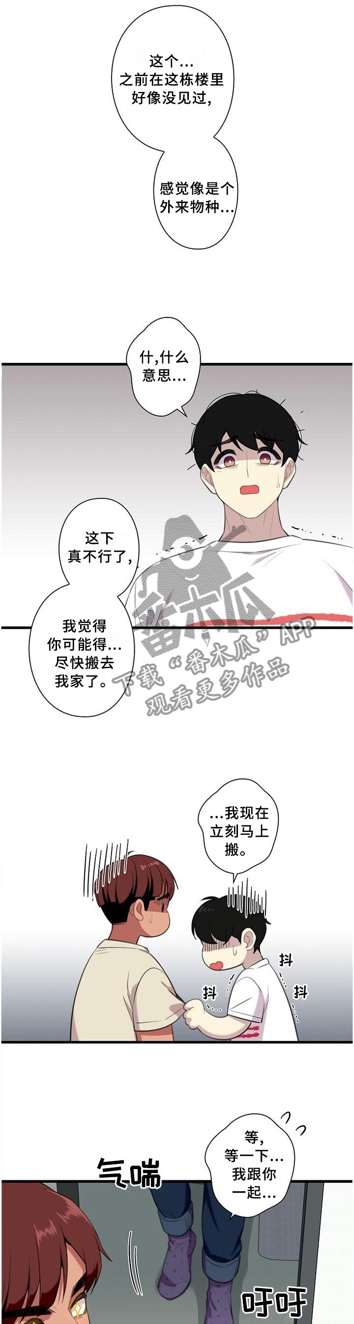 第50章：【完结】搬迁