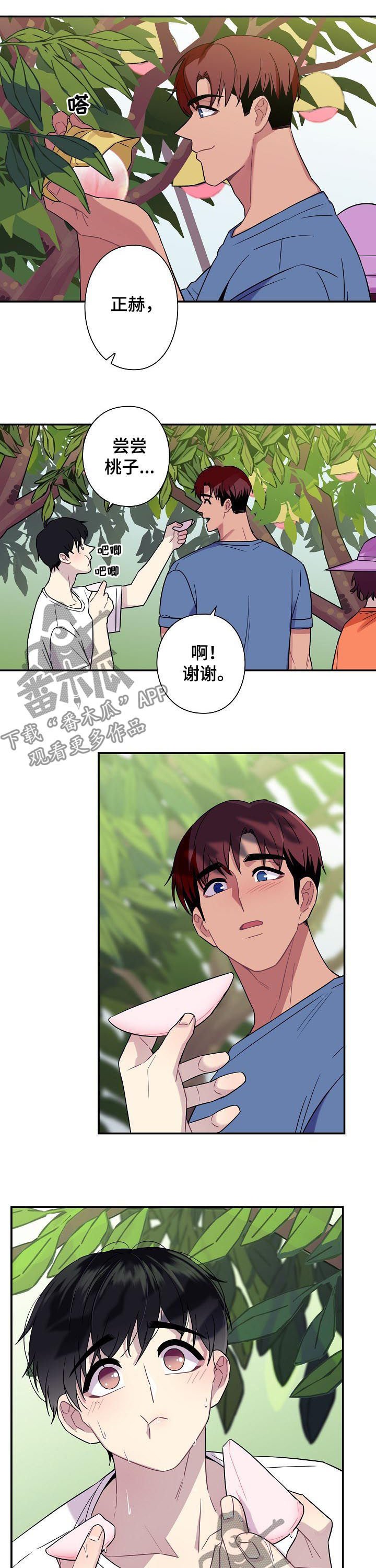 第57章：【番外】小说