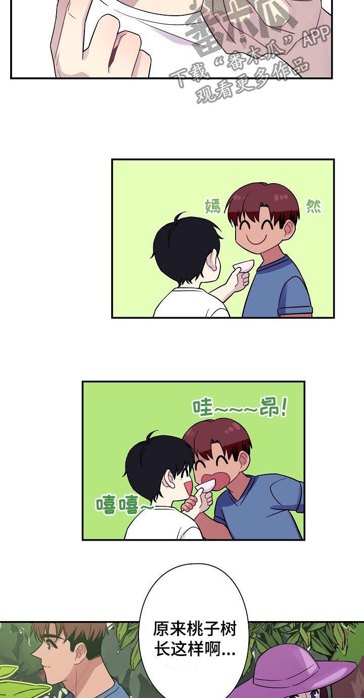 第57章：【番外】小说
