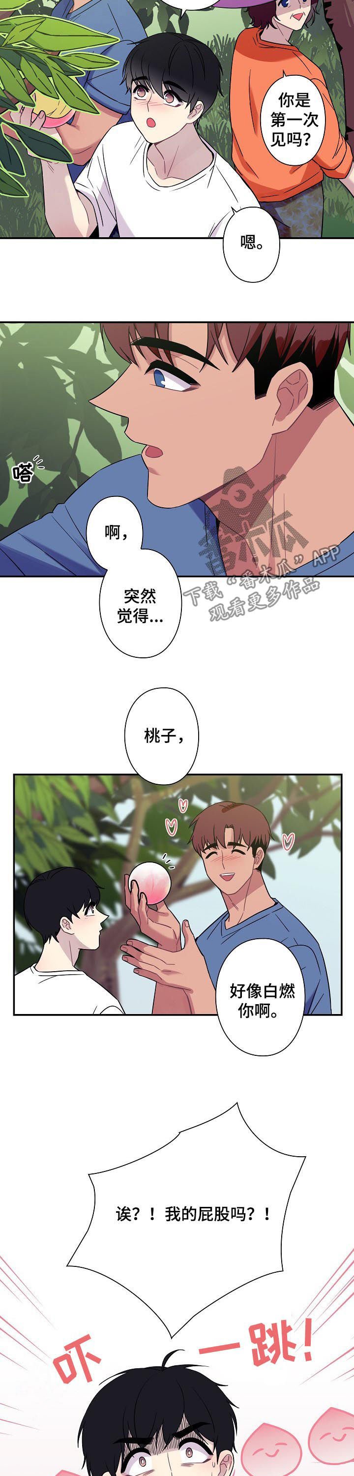 第57章：【番外】小说